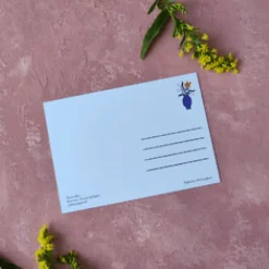 Pikku paperi Mansikka postikortti