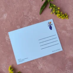 Pikku paperi Syreeni postikortti