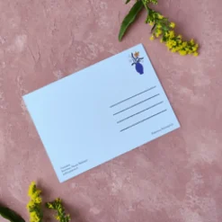Pikku paperi Vadelma postikortti
